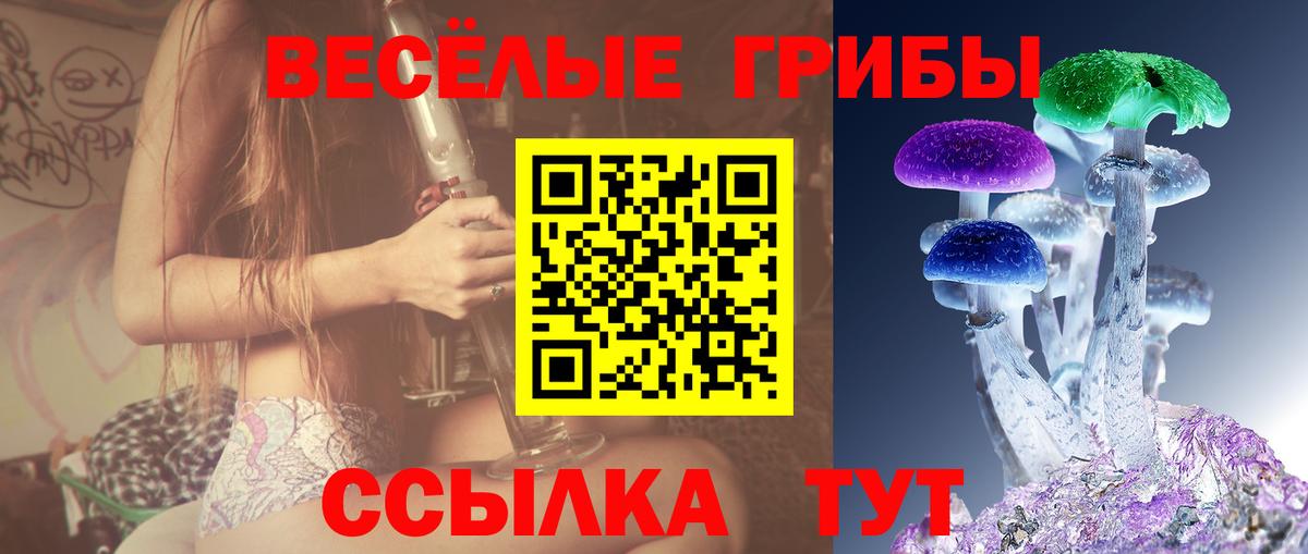 Псилоцибиновые грибы GOLDEN TEACHER Луховицы